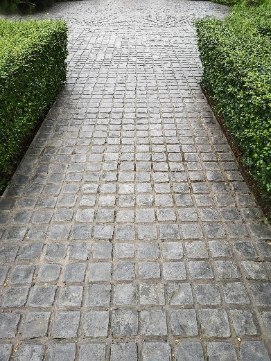 Pavimento de hormigón impreso en camino de entrada a jardín.