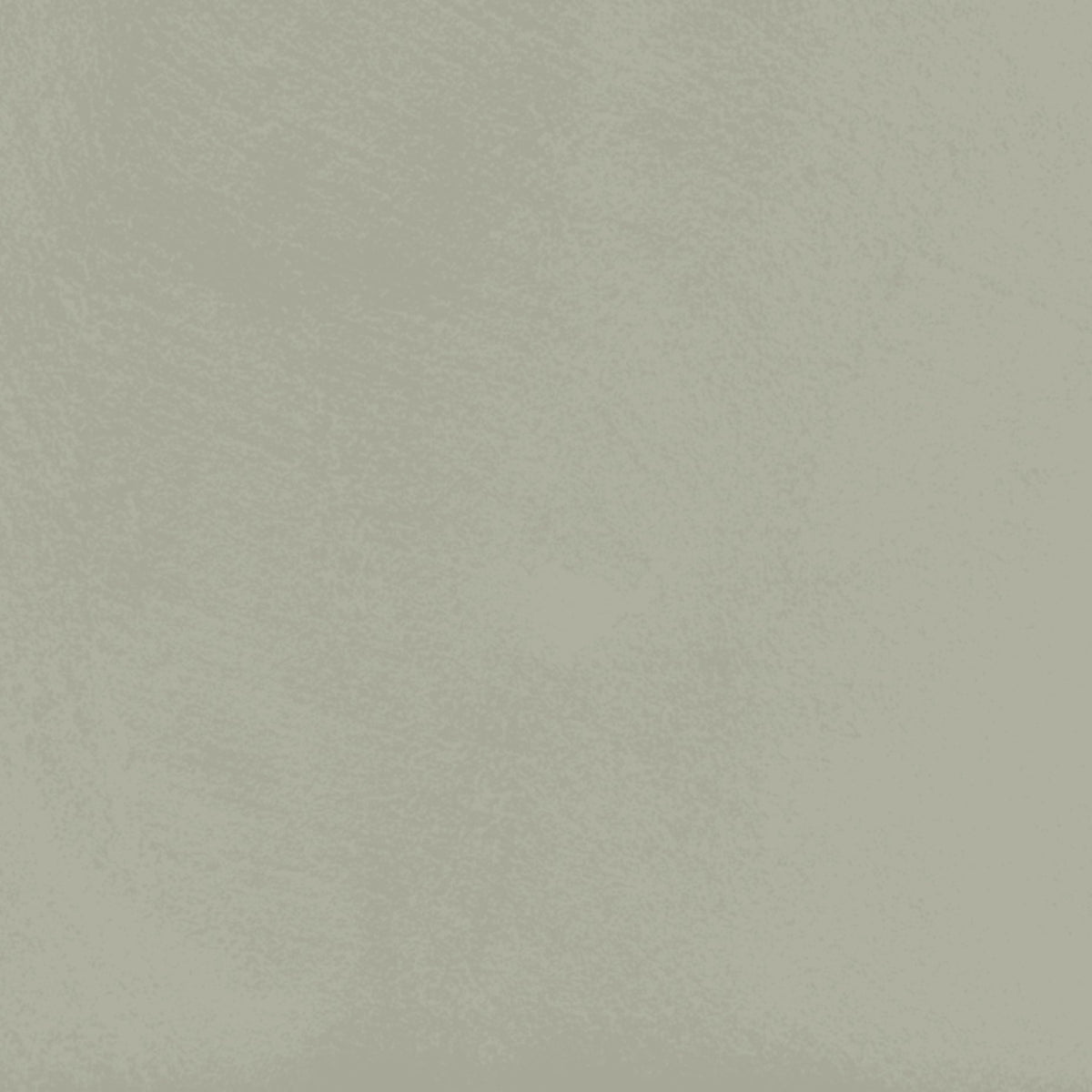 Papyrus