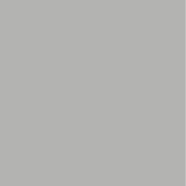Smartcover Outdoor: Pintura para fachadas y exteriores duradera — color Gris Ceniza