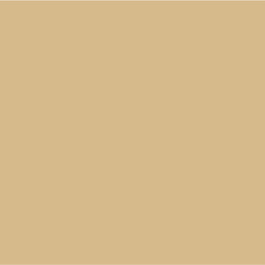 Smartcover Outdoor: Pintura para fachadas y exteriores duradera — muestra de color S2020-Y10R (2)
